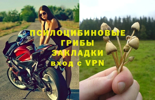 эйфоретик Алексин