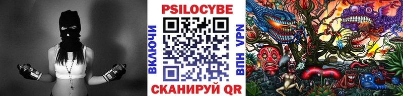 цена   Петровск-Забайкальский  Галлюциногенные грибы Psilocybine cubensis 
