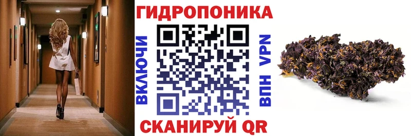 Марихуана конопля  hydra ССЫЛКА  Петровск-Забайкальский 